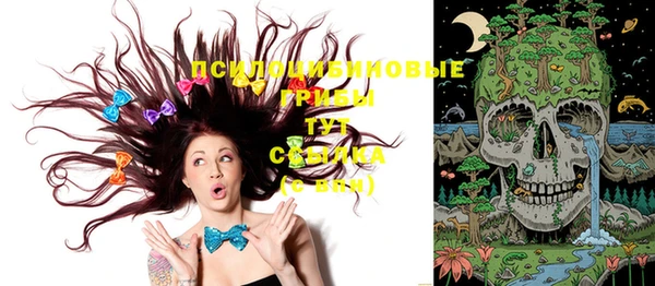 бошки Сосновка