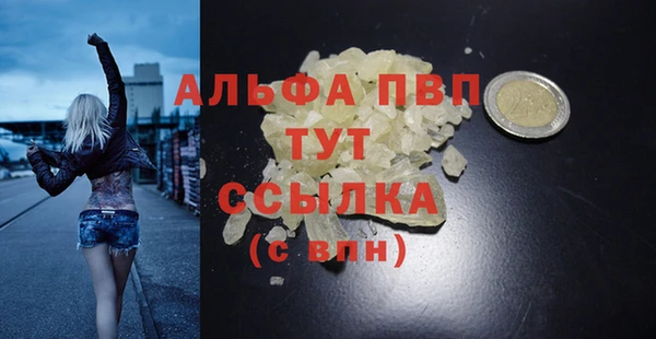 гидра Сосновый Бор