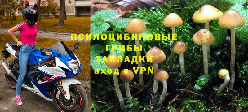 Псилоцибиновые грибы Magic Shrooms  как найти закладки  Власиха 